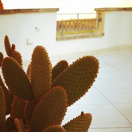 La Lumaca Torchiarolo