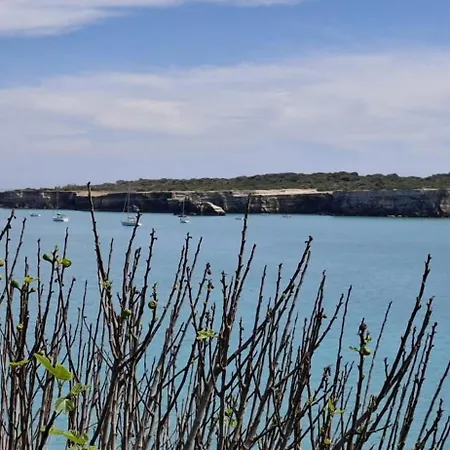 La Lumaca