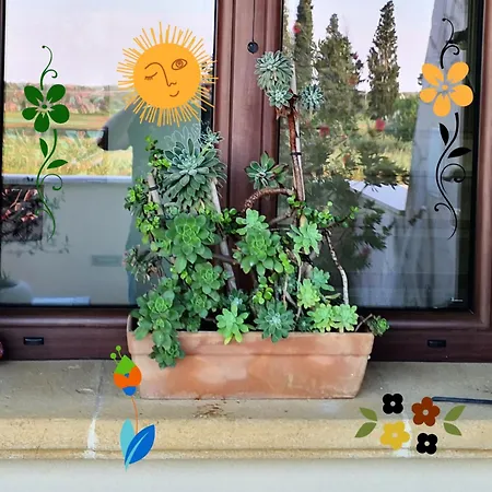 La Lumaca Frühstückspension